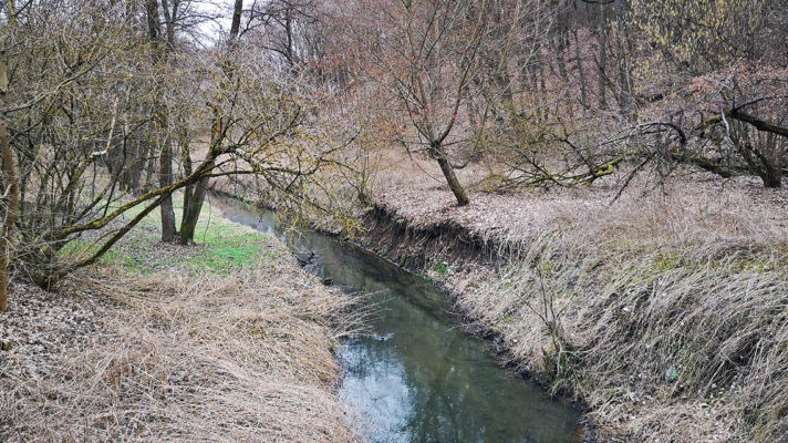 Říčka Bobrava