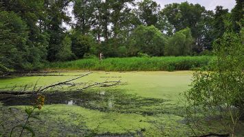 Zastávka po cestě: mokřad Troubského potoka