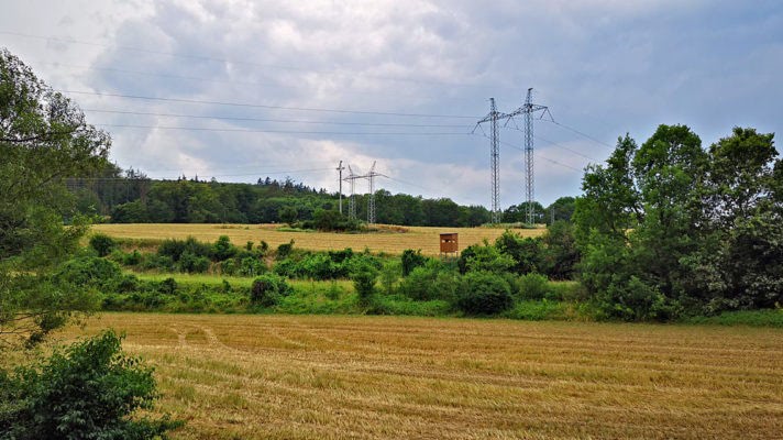 Pole u cesty naproti vstupu do lesa k mokřadu